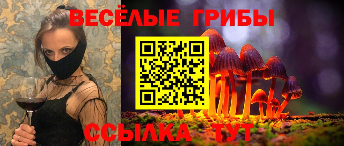 Псилоцибиновые грибы мицелий Реутов